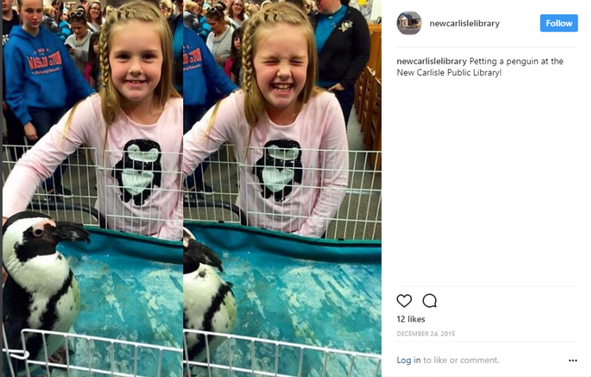 Photo from a penguin encounter at the public library.